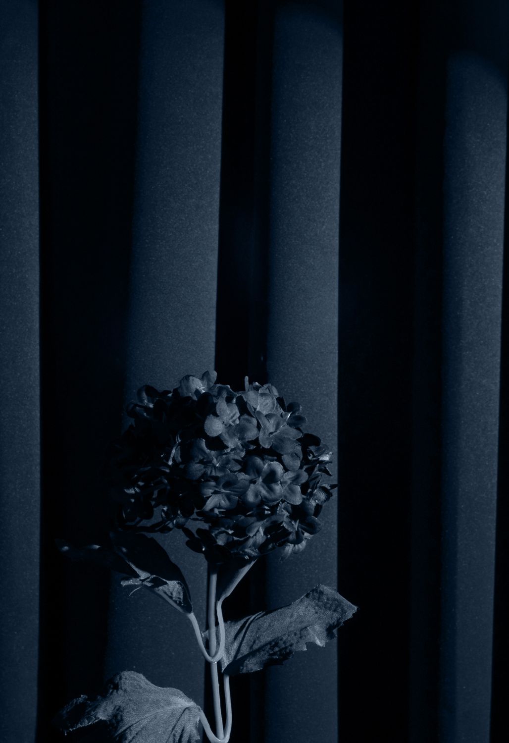 Dark floral arrangement against textured backdrop.